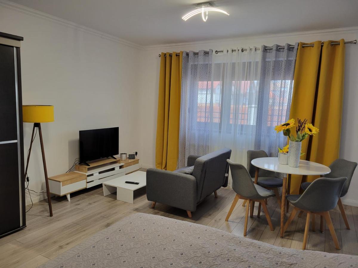 Ferienwohnung Concept Urban Mediaş Exterior foto